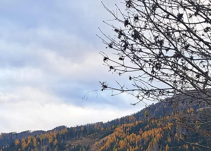 Dolomit24 | Design * ジリアン